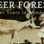 Deer Forest
