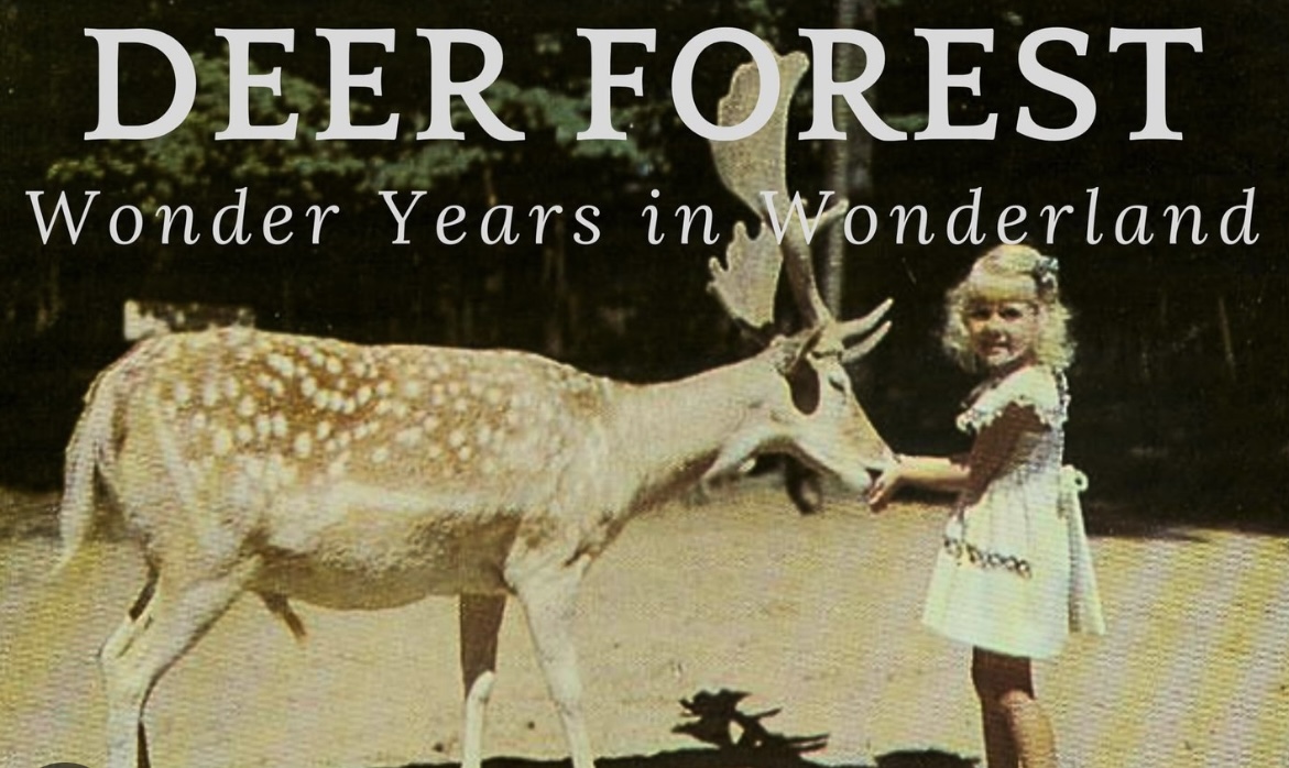 Deer Forest